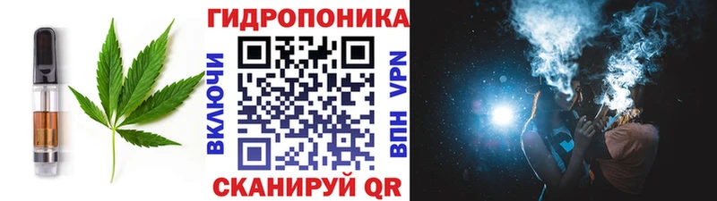 Купить закладки  Ипатово  Cannafood марихуана 