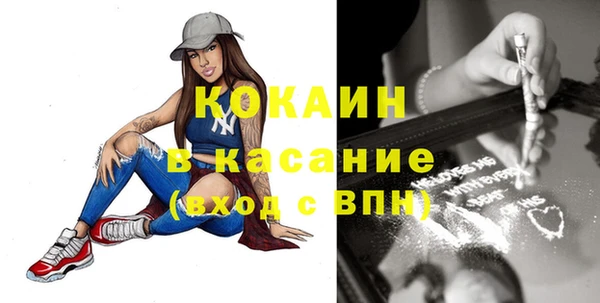 твердый Мегион