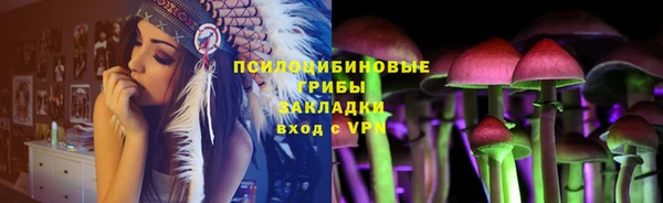 твердый Мегион