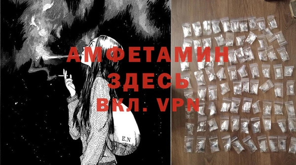 твердый Мегион