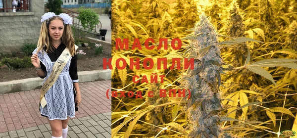 твердый Мегион