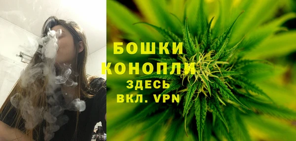 твердый Мегион