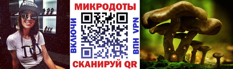 Купить закладки  Ипатово  Псилоцибиновые грибы Psilocybe 